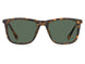 Fossil 3100 Sunglasses